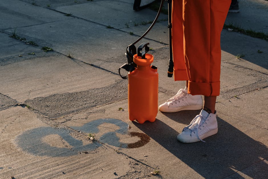 How to clean basketball shoes — without damaging them